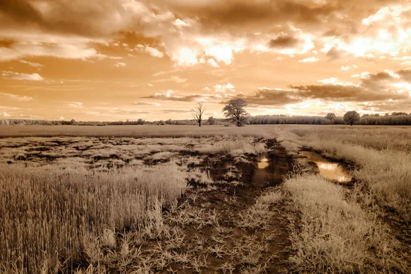 kırsal alanları ve ormanları. kızılötesi görüntü