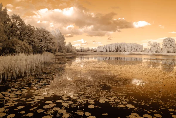 Göl yansımalar. kızılötesi görüntü