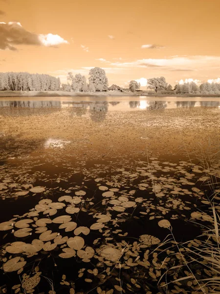 Reflexões no lago. imagem infravermelha — Fotografia de Stock