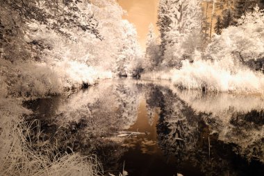 Göl yansımalar. kızılötesi görüntü