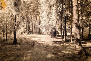 kırsal alanları ve ormanları. kızılötesi görüntü