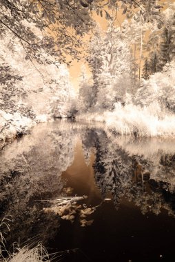 Göl yansımalar. kızılötesi görüntü