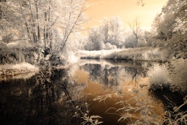 Göl yansımalar. kızılötesi görüntü