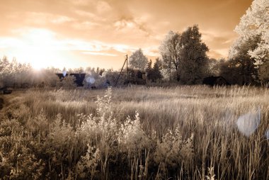 kırsal alanları ve ormanları. kızılötesi görüntü
