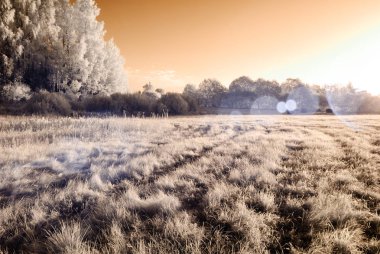 kırsal alanları ve ormanları. kızılötesi görüntü