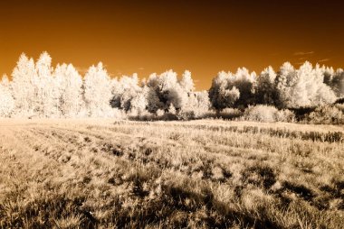 kırsal alanları ve ormanları. kızılötesi görüntü