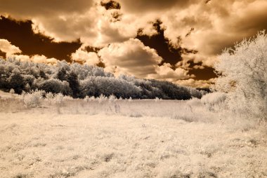 kırsal alanları ve ormanları. kızılötesi görüntü