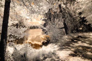 kırsal alanları ve ormanları. kızılötesi görüntü