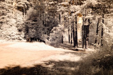 kırsal alanları ve ormanları. kızılötesi görüntü