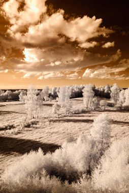 kırsal alanları ve ormanları. kızılötesi görüntü