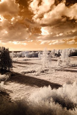 kırsal alanları ve ormanları. kızılötesi görüntü