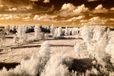 kırsal alanları ve ormanları. kızılötesi görüntü