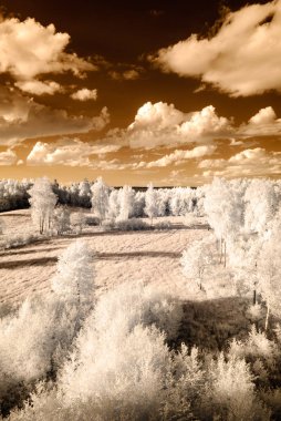 kırsal alanları ve ormanları. kızılötesi görüntü