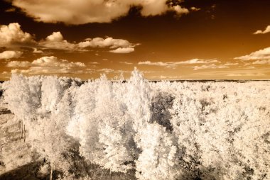 kırsal alanları ve ormanları. kızılötesi görüntü