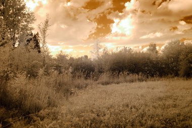 kırsal alanları ve ormanları. kızılötesi görüntü