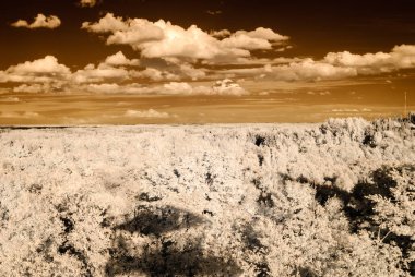 kırsal alanları ve ormanları. kızılötesi görüntü