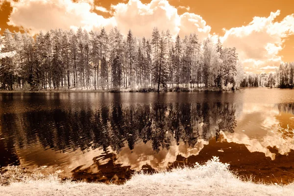 Reflexões no lago. imagem infravermelha — Fotografia de Stock