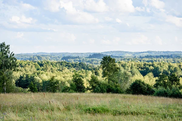 Panoramic view of misty forest. far horizon — Stock Photo, Image