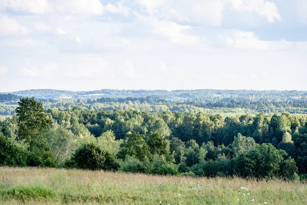 Panoramablick auf nebligen Wald. weiter Horizont — Stockfoto