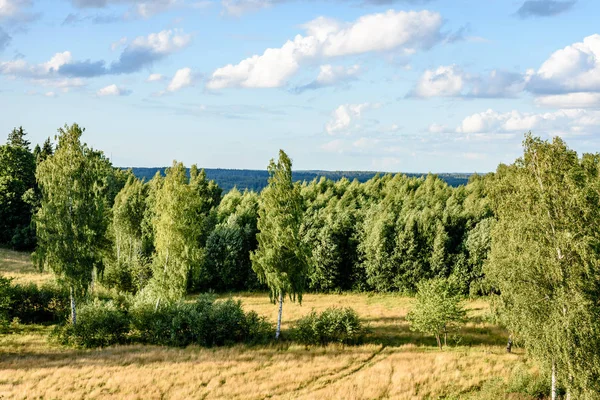 Vista panoramica sulla foresta nebbiosa. orizzonte lontano — Foto Stock