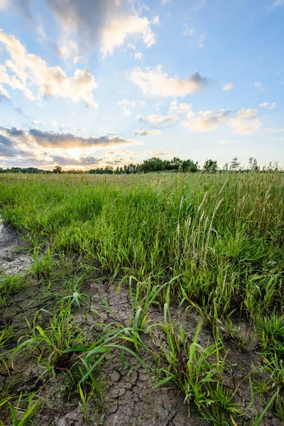 Yaz dramatik gün batımı ile kırsal alanları