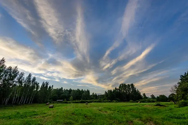 Champs ruraux en été avec coucher de soleil spectaculaire — Photo