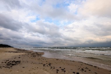 Sabah yalnız ağaçlar ile fırtınalı bir plaj görünümünü