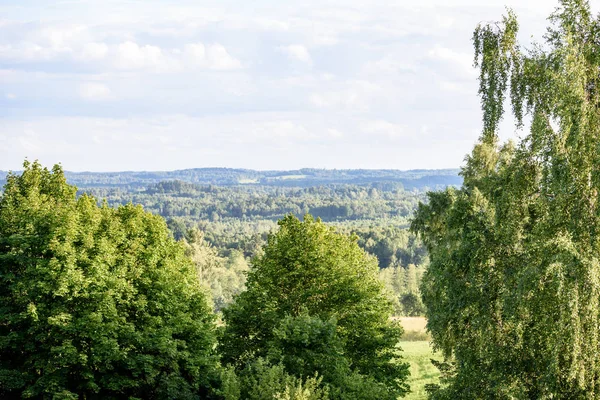 Panoramablick auf nebligen Wald. weiter Horizont — Stockfoto