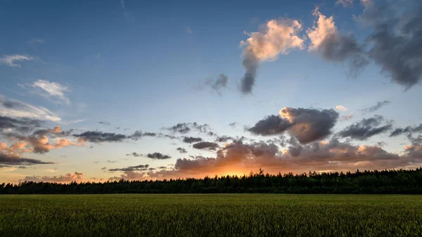 Coucher de soleil spectaculaire sur la campagne — Photo