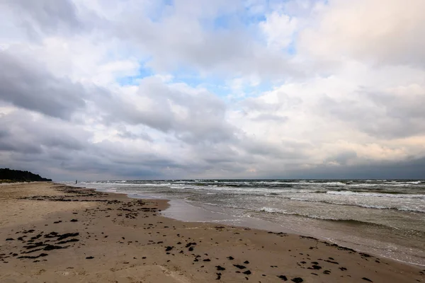 Вид на бурхливий пляж вранці з самотніми деревами — стокове фото
