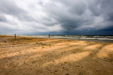 Sabah yalnız ağaçlar ile fırtınalı bir plaj görünümünü