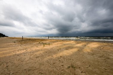 Sabah yalnız ağaçlar ile fırtınalı bir plaj görünümünü