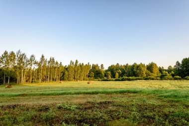 kırsal alanlar ile yaz aylarında rulo saman