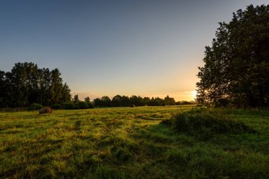 kırsal alanlar ile yaz aylarında rulo saman