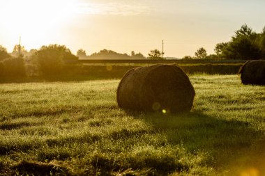 kırsal alanlar ile yaz aylarında rulo saman