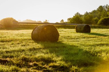 kırsal alanlar ile yaz aylarında rulo saman