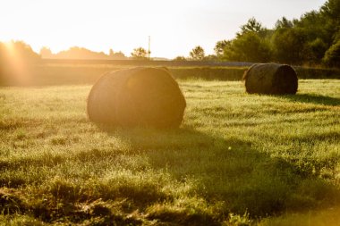 kırsal alanlar ile yaz aylarında rulo saman