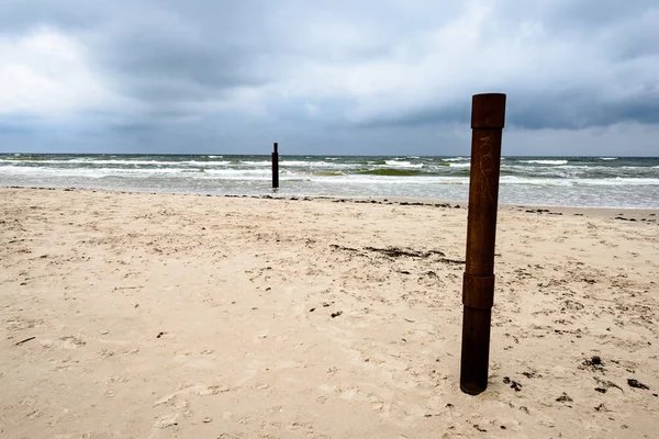 Uitzicht op een stormachtige strand in de ochtend met eenzame bomen — Stockfoto