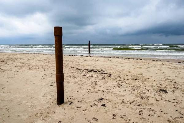 Uitzicht op een stormachtige strand in de ochtend met eenzame bomen — Stockfoto