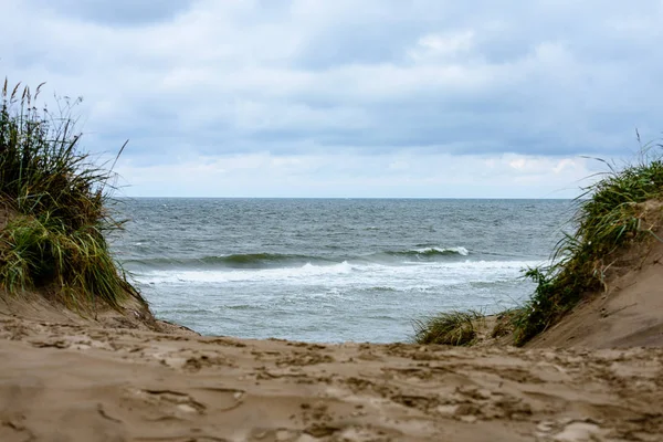 Вид на бурный пляж по утрам с одинокими деревьями — стоковое фото