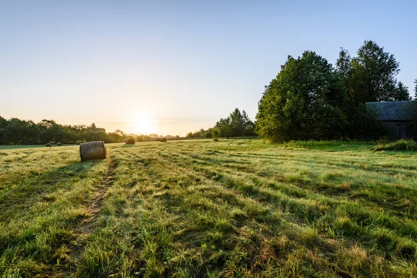 kırsal alanlar ile yaz aylarında rulo saman