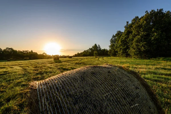 kırsal alanlar ile yaz aylarında rulo saman