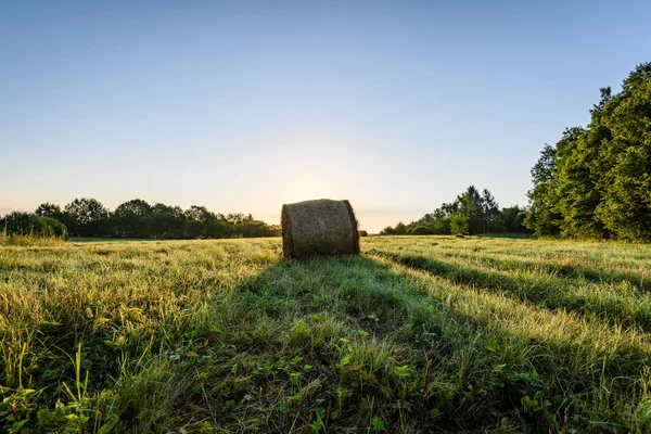 kırsal alanlar ile yaz aylarında rulo saman