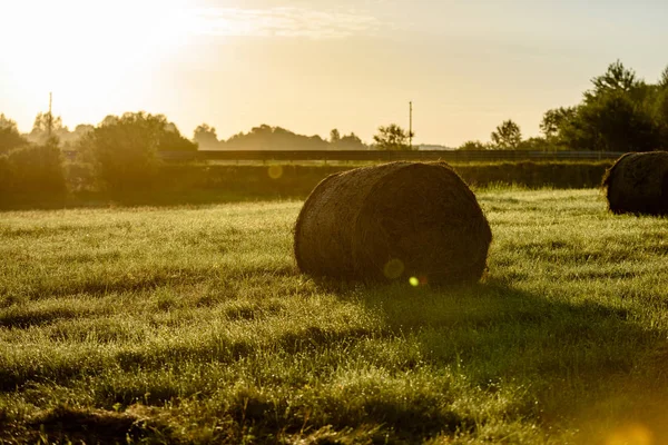 kırsal alanlar ile yaz aylarında rulo saman