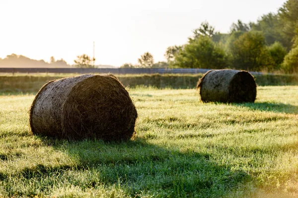Сільські поля влітку з рулонами сіна — стокове фото