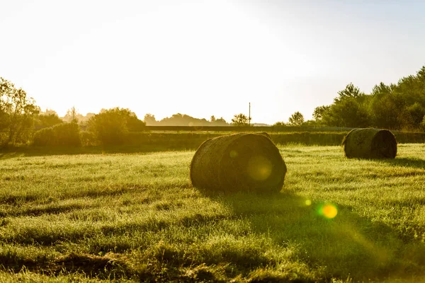 Landsbygden fält i sommar med rullar av hö — Stockfoto