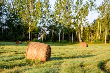 kırsal alanlar ile yaz aylarında rulo saman