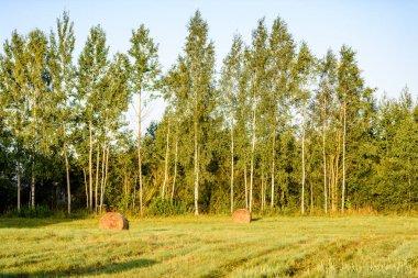 kırsal alanlar ile yaz aylarında rulo saman