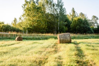 kırsal alanlar ile yaz aylarında rulo saman