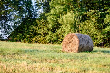 kırsal alanlar ile yaz aylarında rulo saman